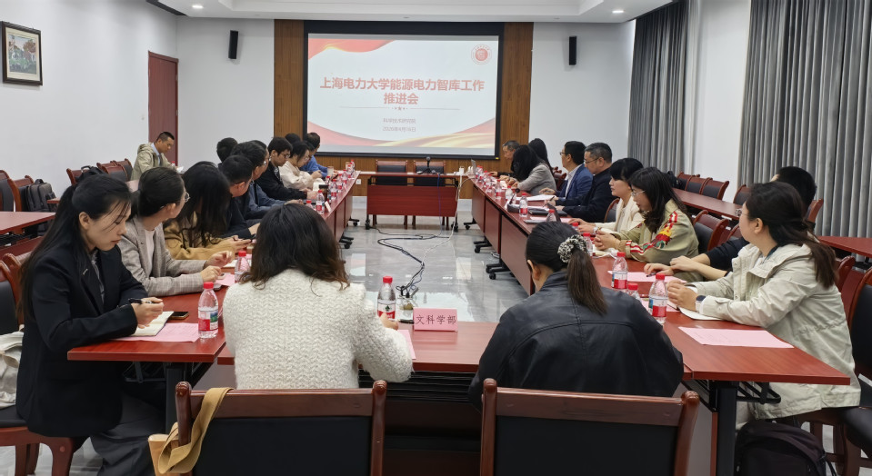 我校召开能源电力智库工作会议