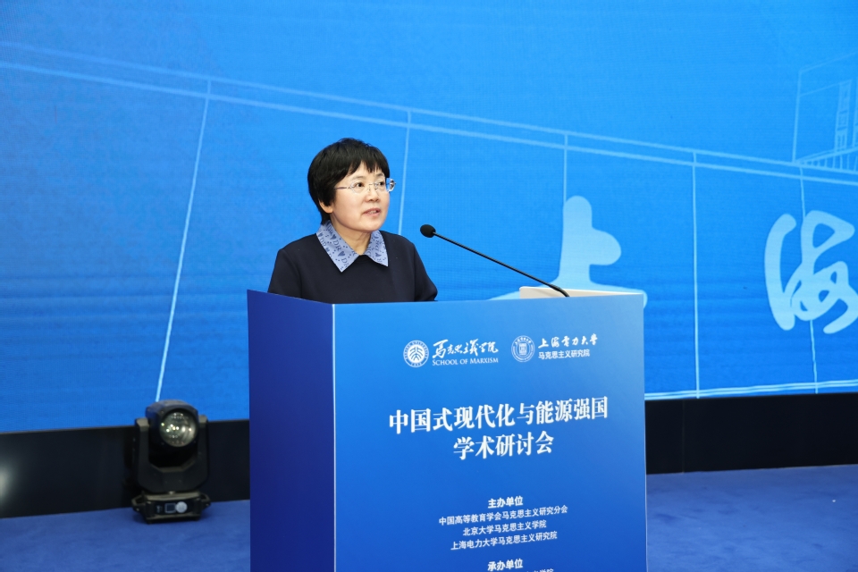 “中国式现代化与能源强国”学术研讨会在我校召开