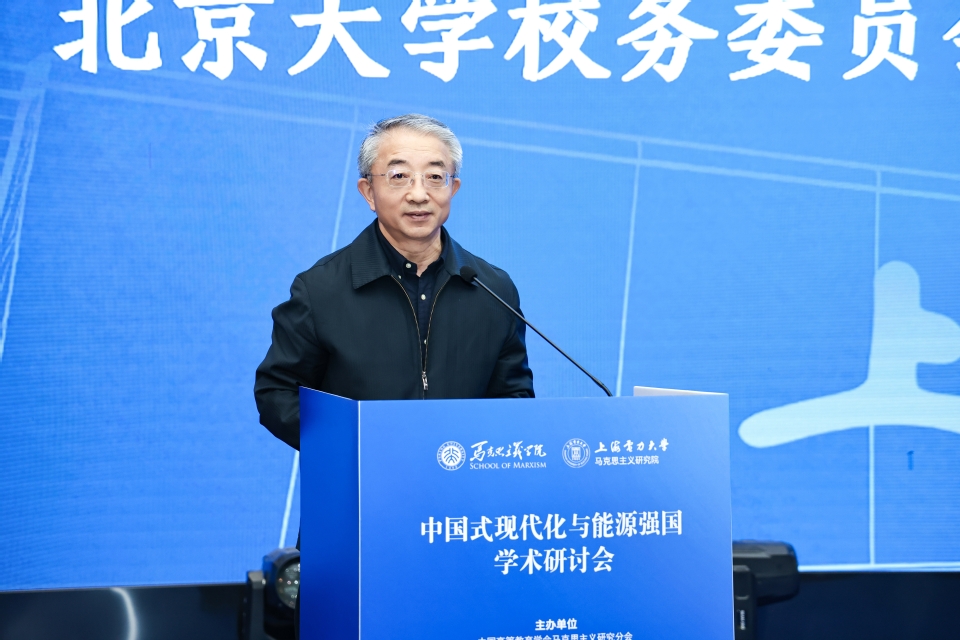 “中国式现代化与能源强国”学术研讨会在我校召开